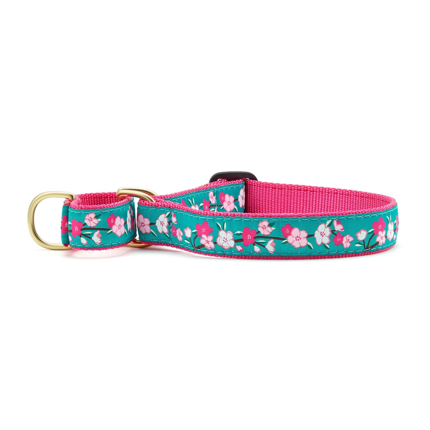 DOG COLLARS