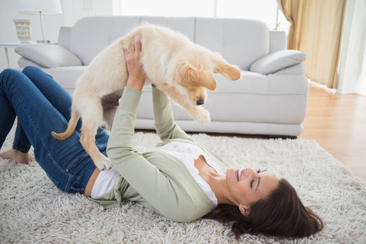 The Importance of Grooming: Keeping Your Pet Healthy and Happy