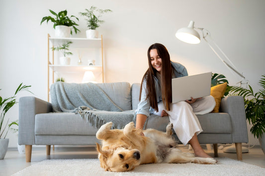 Pet-Friendly Home Design: Creating a Safe and Comfortable Space for Your Pet