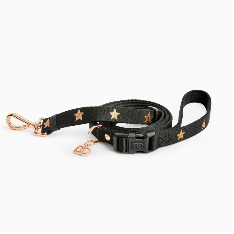 DOG LEASHES