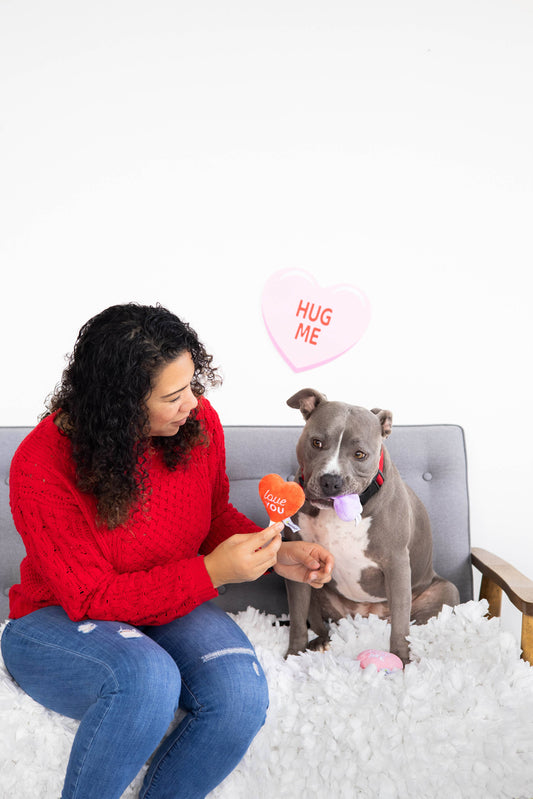 Pearhead Conversation Hearts Dog Toys, Valentine's Day, Set of 3