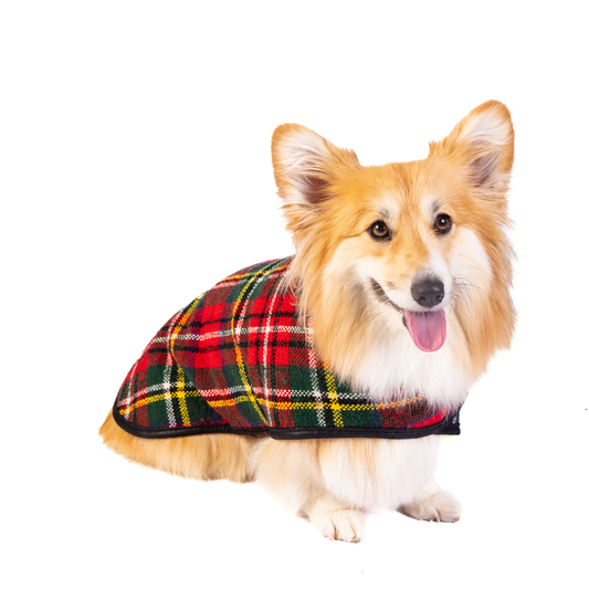 Chilly Dog- Scotty Plaid Dog Blanket Coat