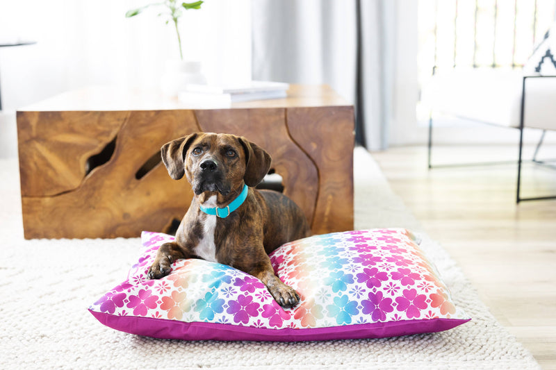 Washable Pet Bed Cover - Everly: Small Bed Cover Only