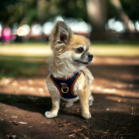 Dizzy Dog |Step In Dog Harness: No Pull Harness | For XS to Medium Dogs & Cats | The Coco