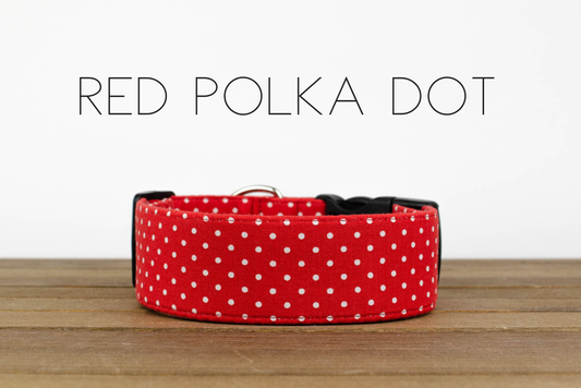 Red Polka Dot: M / Black