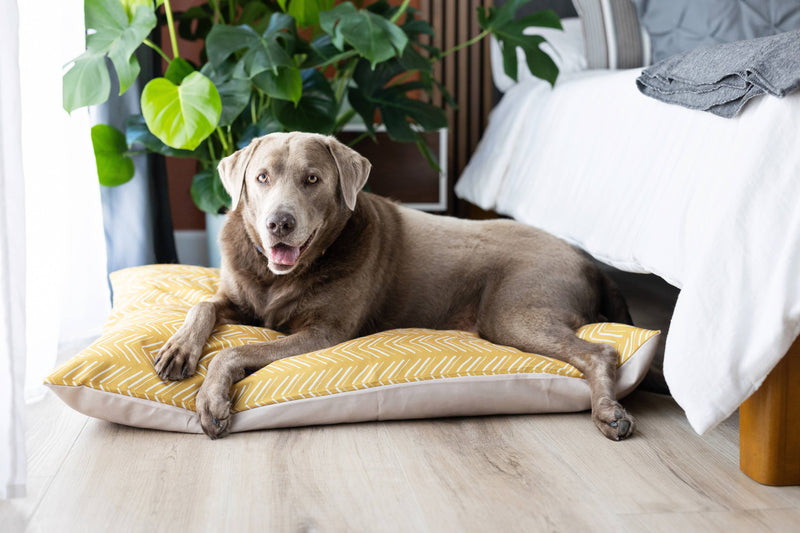 Yellow Chevron Pattern Washable Pet Bed Cover: Medium Bed Cover Only