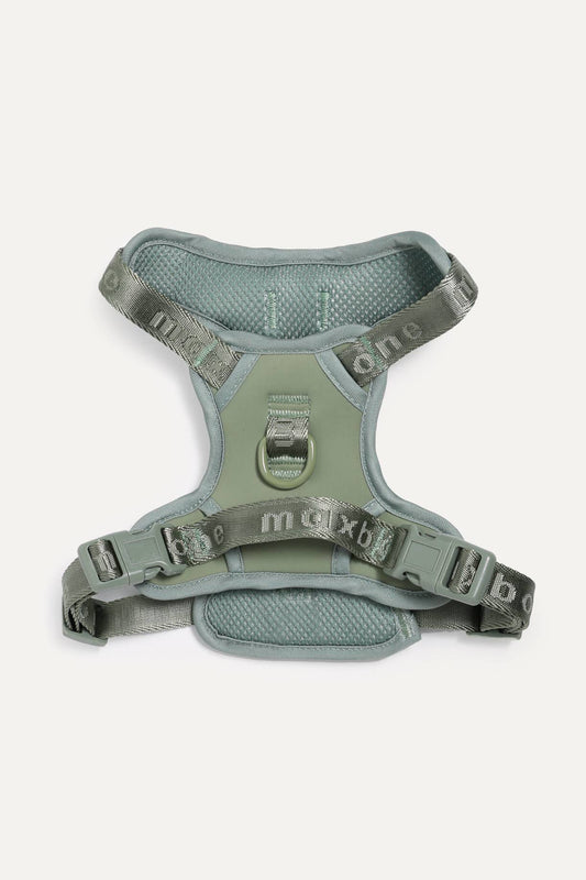 Easy Fit Harness for Dogs: Sage / XL