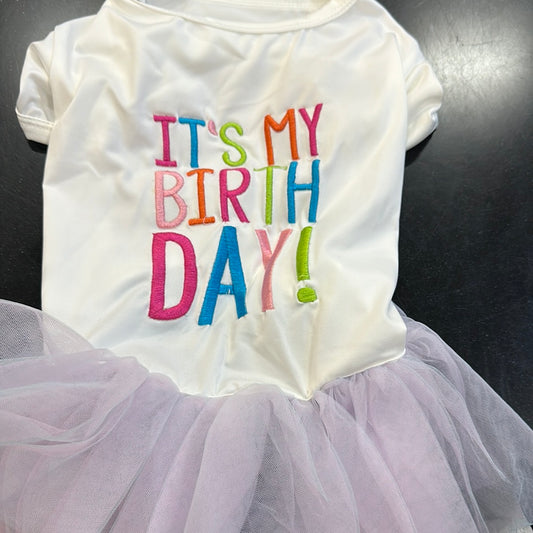 It’s My Birthday Dress & Tutu