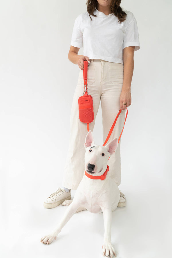 Walk Bag With Dog Leash