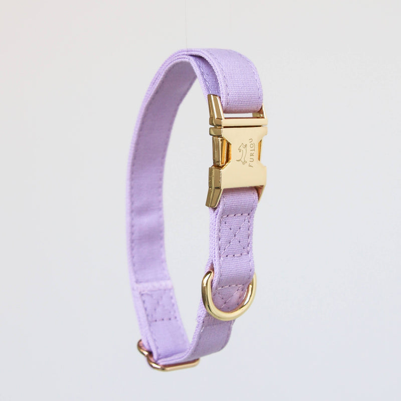 Furlou Dog Collar