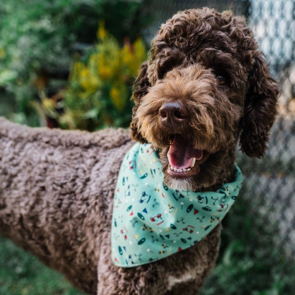 Golf Bandana: Small / Green