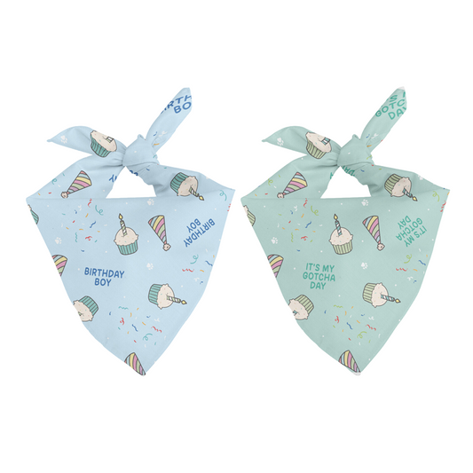 Birthday Boy & Girl Gotcha Day Double Sided Tie Snap Dog Bandana