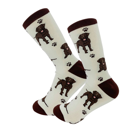 Labrador Chocolate - Fun Novelty Dog Socks - Unisex