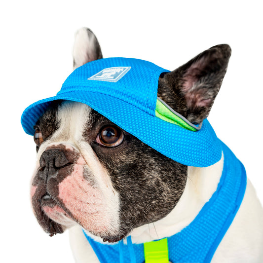 Chill Seeker Cooling Dog Hat (Blue)