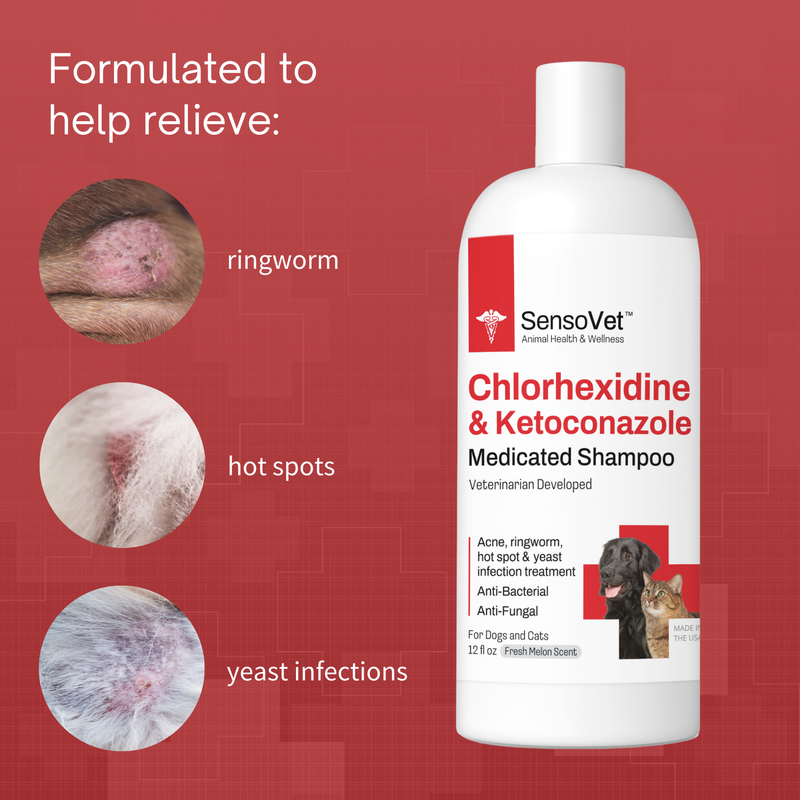 Chlorhexidine Ketoconazole Shampoo for Dogs Cats 12oz Frenchie Tale