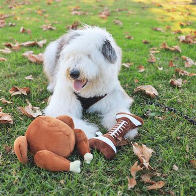 H&K Football Bone Toy