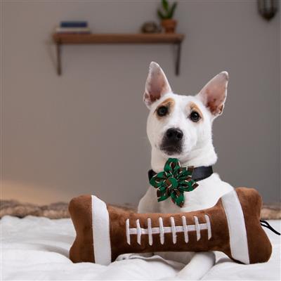 H&K Football Bone Toy