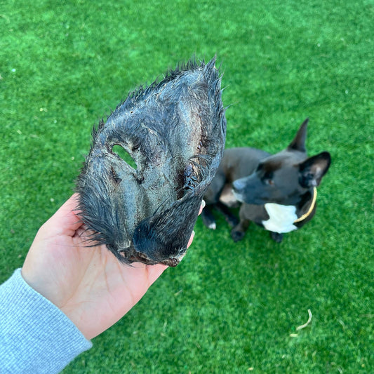 Air-dried Cow Ear with Fur