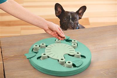 Nina Ottosson Dog Worker Toy - Green Composite Level 3