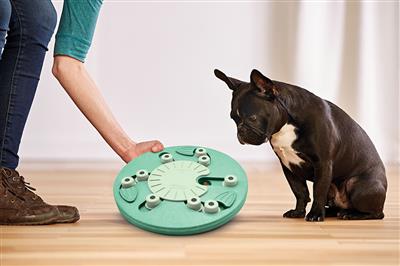 Nina Ottosson Dog Worker Toy - Green Composite Level 3