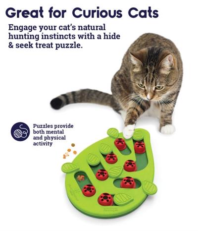 Buggin Out Puzzle & Play Cat Toy by PetStages & Nina Ottosson Level 2