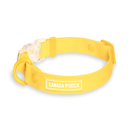 Waterproof Dog Collar (Yellow)