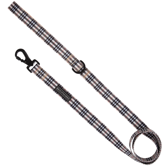 Big and Little DOG LEASH: Nova Plaid: 2.5cm Wide