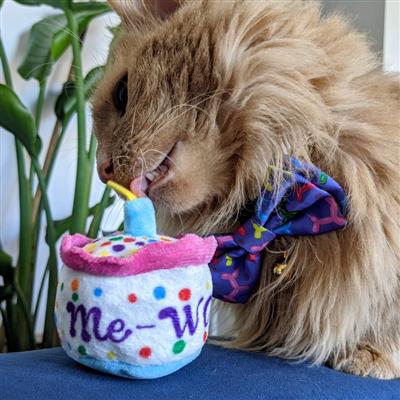 H&K Cat MeWow Birthday Cake Toy