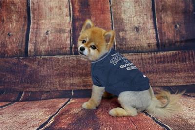 NFL Cowboys Pet T-Shirt