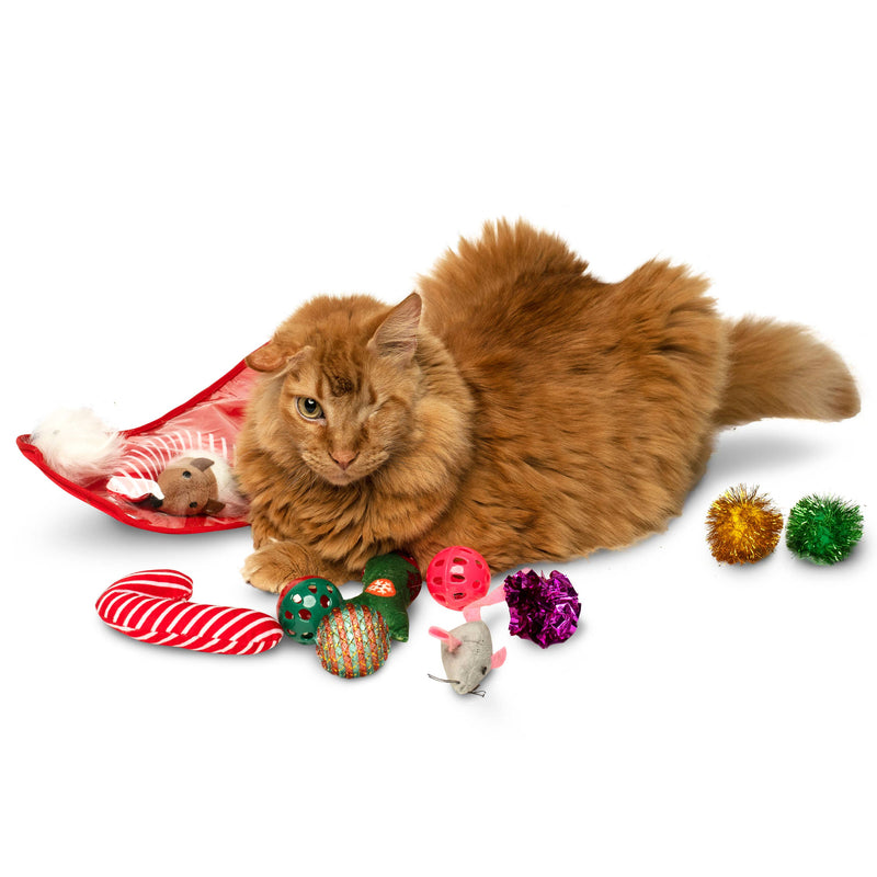 Midlee Christmas Stocking Cat Toy Gift Set (14 Toys)