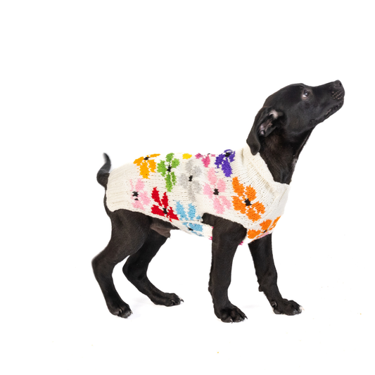 Chilly Dog- Bloom Dog & Cat Sweater