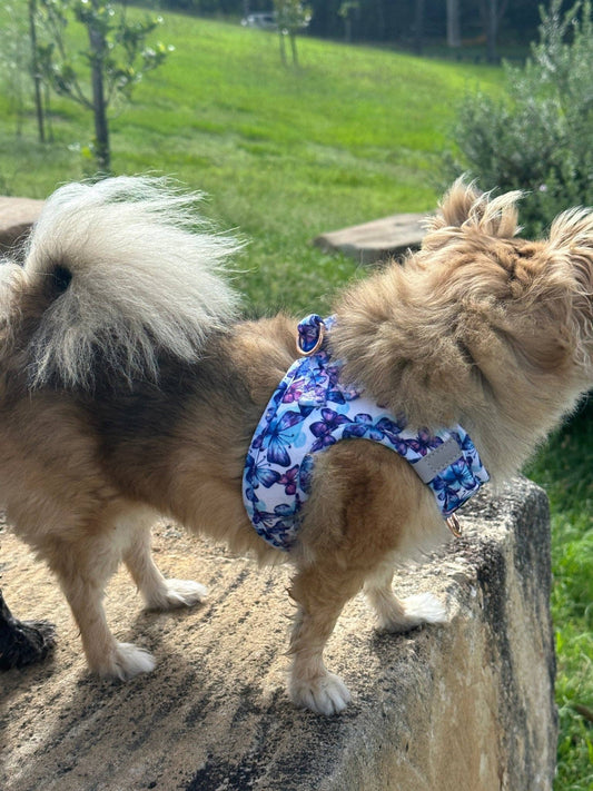 Step In Dog Harness: No Pull Harness | For XS to Medium Dogs & Cats | Butterfly Ballet