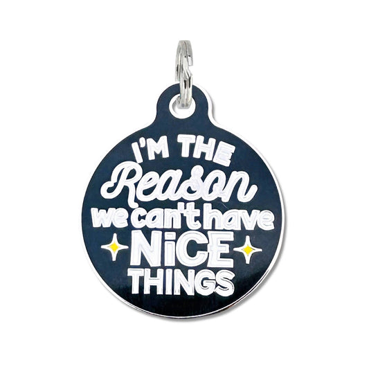 Can't Have Nice Things - Dog Collar Charm or Pet ID Tag: Engraved QR Code / Small 1"