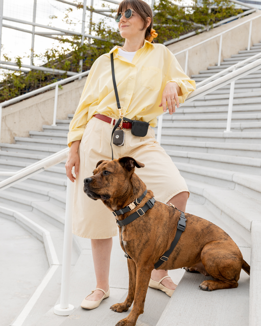 Sunny Tails Ember Black 4-in-1 Convertible Hands Free Cloud Dog Leash : Wide