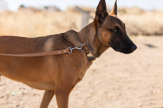 Modern Style Soft Leather Euro Dog Leash: Large 3/4" Width 6' Length / Khaki