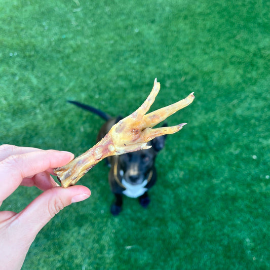 Air-dried Chicken Feet