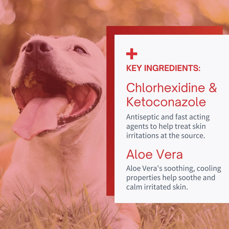 Antiseptic Chlorhexidine Wipes for Dogs & Cats - 50 Wipes