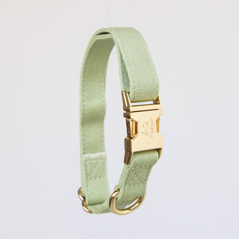 Furlou Dog Collar