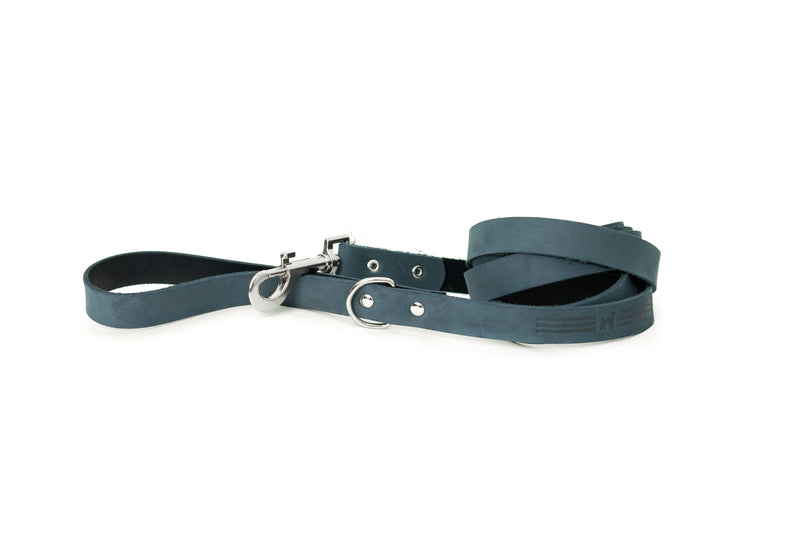 Modern Style Soft Leather Euro Dog Leash: Large 3/4" Width 6' Length / Midnight Black