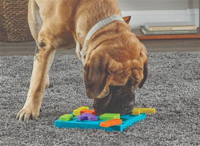 Brightkins™ Dog Block Treat Puzzle