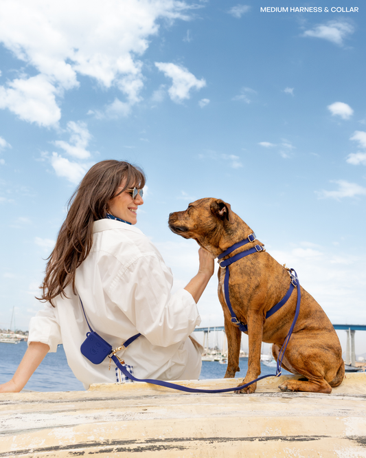 Signature Navy Waterproof Dog Collar