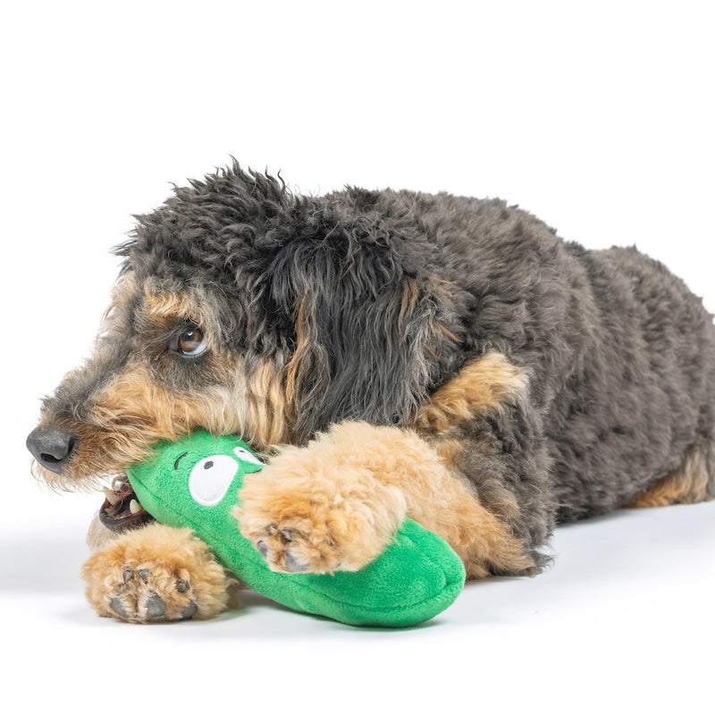 H&K Dell Pickle Dog Toy