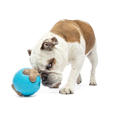 Busy Ball Dog Fetch Toy Medium