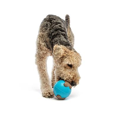 Busy Ball Dog Fetch Toy Medium