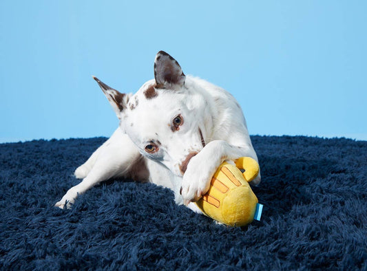 BARK Mug of Beer Dog Toy