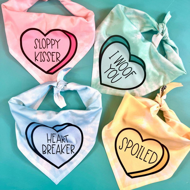 Sloppy Kisser | Convo Heart Dog Bandana | Valentine