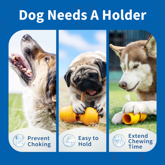 Chewise Bully Stick Holder