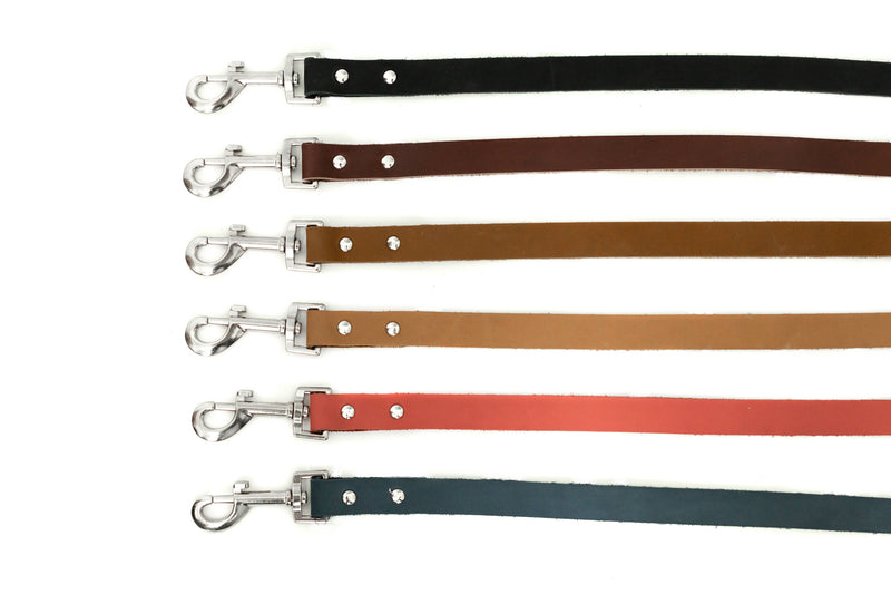 Modern Style Soft Leather Euro Dog Leash: Large 3/4" Width 6' Length / Midnight Black