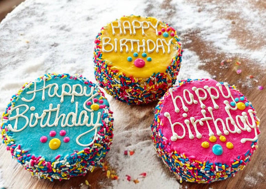 Colorful FIESTA Sprinkle Doggie Cake Treat