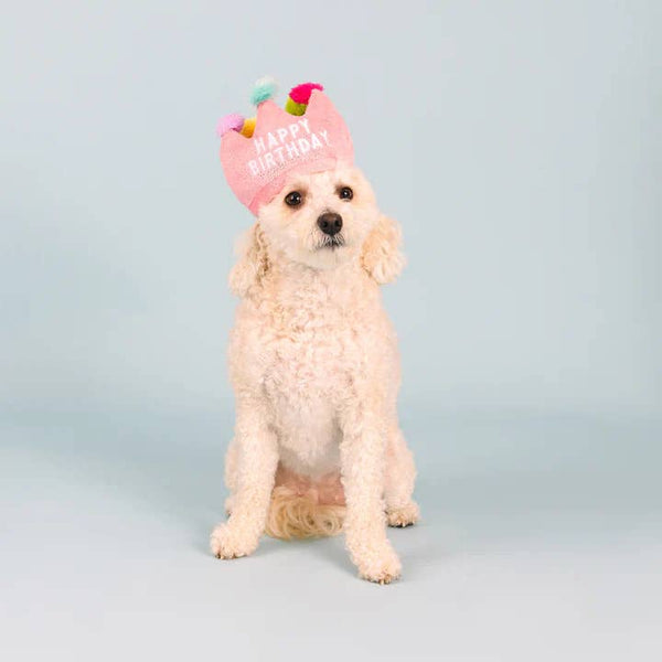 PetShop by Fringe Studio If The Crown Fits Plush Dog Toy